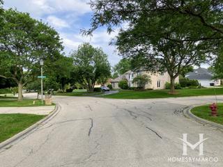Devon Woods subdivision in Burr Ridge, IL