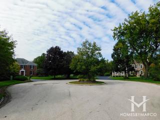 Dover Pond subdivision in Deer Park, IL
