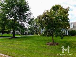 Dover Pond subdivision in Deer Park, IL