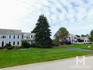Dover Pond subdivision in Deer Park, IL
