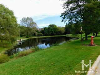 Dover Pond subdivision in Deer Park, IL