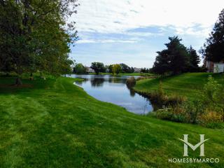 Oak Ridge subdivision in Deer Park, IL