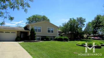 Derby Meadows subdivision in Orland Park, IL