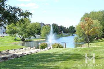 Eagle Ridge subdivision in Plainfield, IL