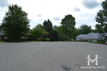 Bridlewood subdivision in Long Grove, IL