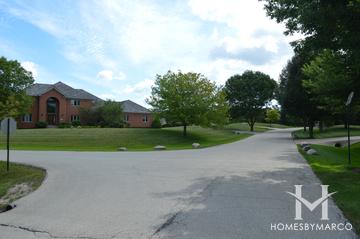 Bridlewood subdivision in Long Grove, IL