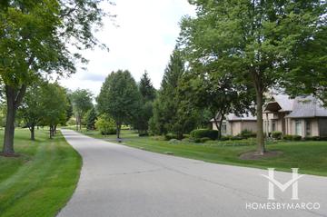 Bridlewood subdivision in Long Grove, IL