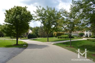 Bridlewood subdivision in Long Grove, IL