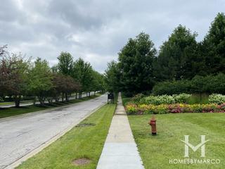 Highland Woods subdivision in Elgin, IL