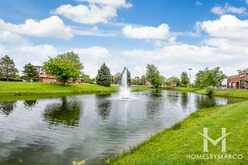 Riverbrook subdivision in Naperville, IL
