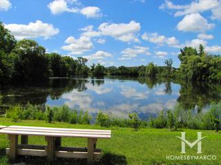 Arbor Lakes subdivision in Green Oaks, IL
