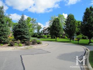 Arbor Lakes subdivision in Green Oaks, IL