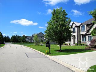 Arbor Lakes subdivision in Green Oaks, IL