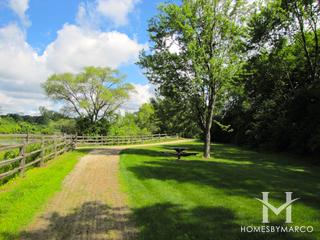 Arbor Lakes subdivision in Green Oaks, IL
