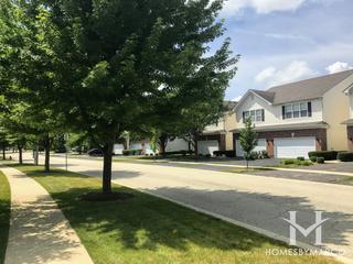 The Townes of Blackberry subdivision in Oswego, IL