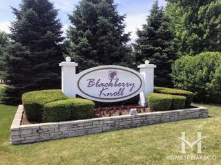 The Townes of Blackberry subdivision in Oswego, IL