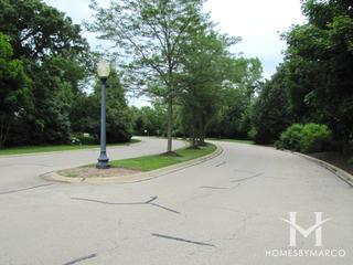 Brookhaven subdivision in Green Oaks, IL