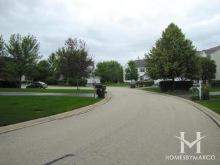 Brookhaven subdivision in Green Oaks, IL