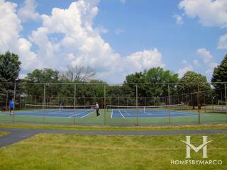 The Preserves at McDonald Woods subdivision in Lindenhurst, IL