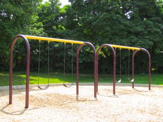 The Preserves at McDonald Woods subdivision in Lindenhurst, IL