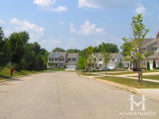 The Preserves at McDonald Woods
