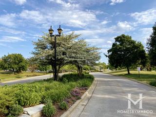 Villas at Midlane subdivision in Wadsworth, IL