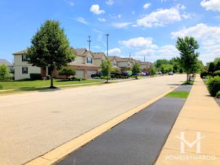 Hickory Woods subdivision in Mundelein, IL