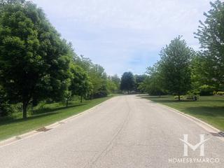 Thornfield Meadows subdivision in Hawthorn Woods, IL