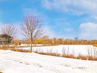 Countryside Meadows subdivision in Hawthorn Woods, IL