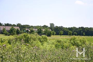 West Lake subdivision in Cary, IL