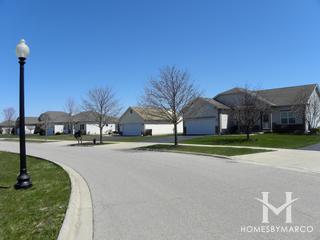 Patriot Estates subdivision in McHenry, IL
