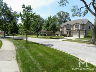 Berens Park subdivision in Elmhurst, IL
