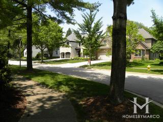 Photos of Tuxedo Park subdivision in Elmhurst, IL