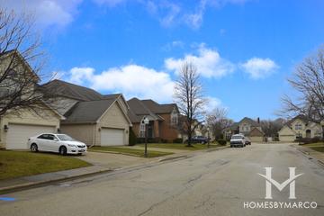 Delaine Farms subdivision in Morton Grove, IL