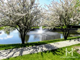 Willoughby Farms Estates subdivision in Algonquin, IL