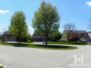 Willoughby Farms Estates subdivision in Algonquin, IL