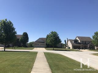 Goodings Grove subdivision in Homer Glen, IL