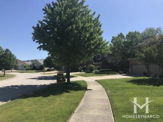 Goodings Grove subdivision in Homer Glen, IL