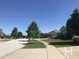Goodings Grove subdivision in Homer Glen, IL
