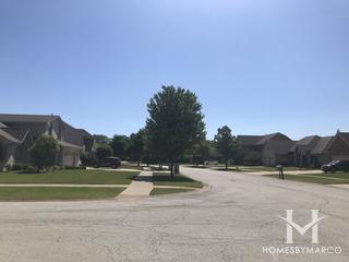 Goodings Grove subdivision in Homer Glen, IL