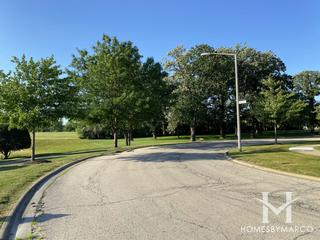 Amberwood subdivision in Lemont, IL