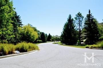 Grassmere Farms subdivision in North Barrington, IL