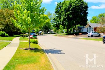 Clearbrook Park subdivision in Mundelein, IL