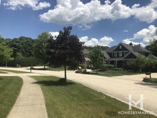 Countryview Estates subdivision in Homer Glen, IL