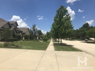 Countryview Estates subdivision in Homer Glen, IL
