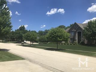 Countryview Estates subdivision in Homer Glen, IL