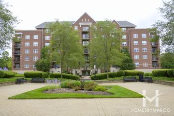 The Groves of Palatine building in Palatine, IL