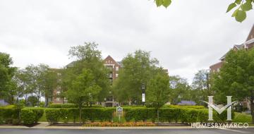 The Groves of Palatine building in Palatine, IL