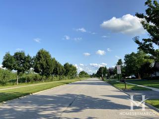 Shenandoah subdivision in Plainfield, IL