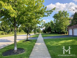 Shenandoah subdivision in Plainfield, IL